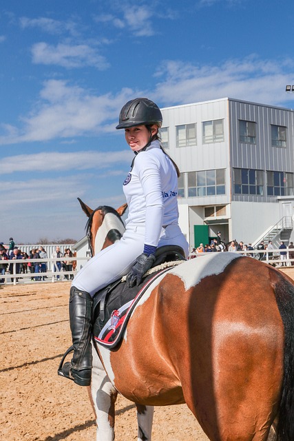 currículum vitae en pantalla con sección de proyectos y logros